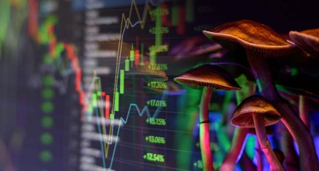 Bright Minds Bio Stocks