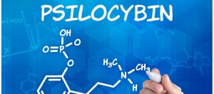 Exploring The Potential Benefits Of Psilocybin Mushrooms